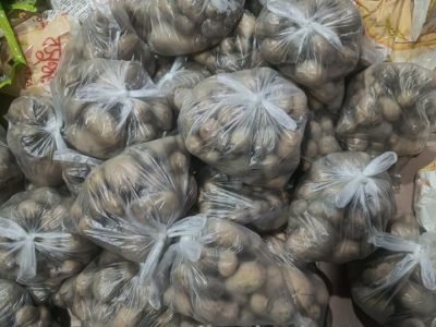 475458587_918166227178370_6378676716891477516_n